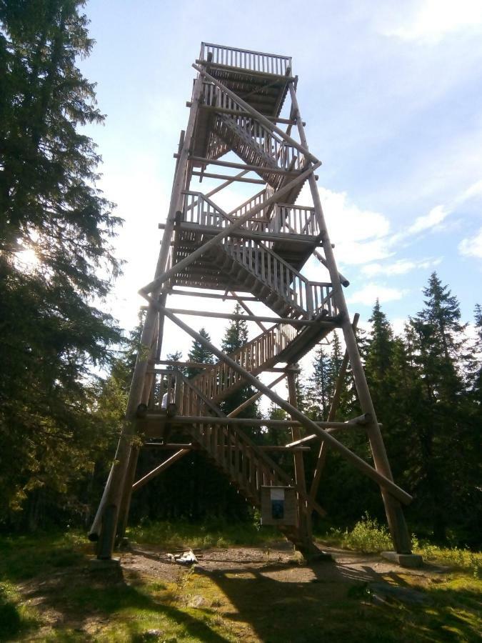 Metsorinne Kotila Exteriér fotografie